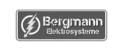 Log Bergmann